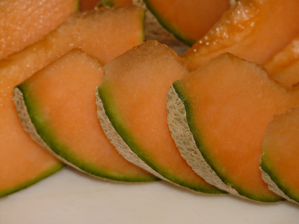 CANTALOUPE