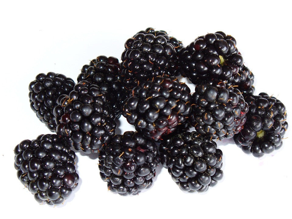 BLACKBERRY (NATURAL)