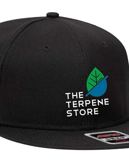 Snapback Hat