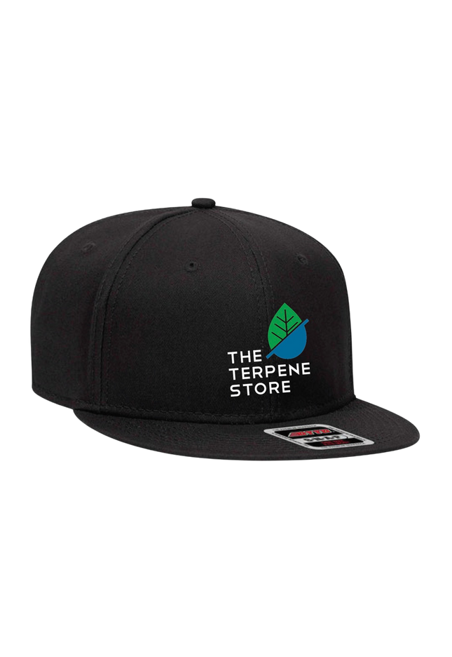 Snapback Hat